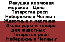 Ракушка кормовая морская › Цена ­ 4 - Татарстан респ., Набережные Челны г. Животные и растения » Аксесcуары и товары для животных   . Татарстан респ.,Набережные Челны г.